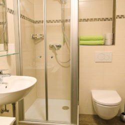 Ferienwohnung Gföller in Reitdorf / Flachau